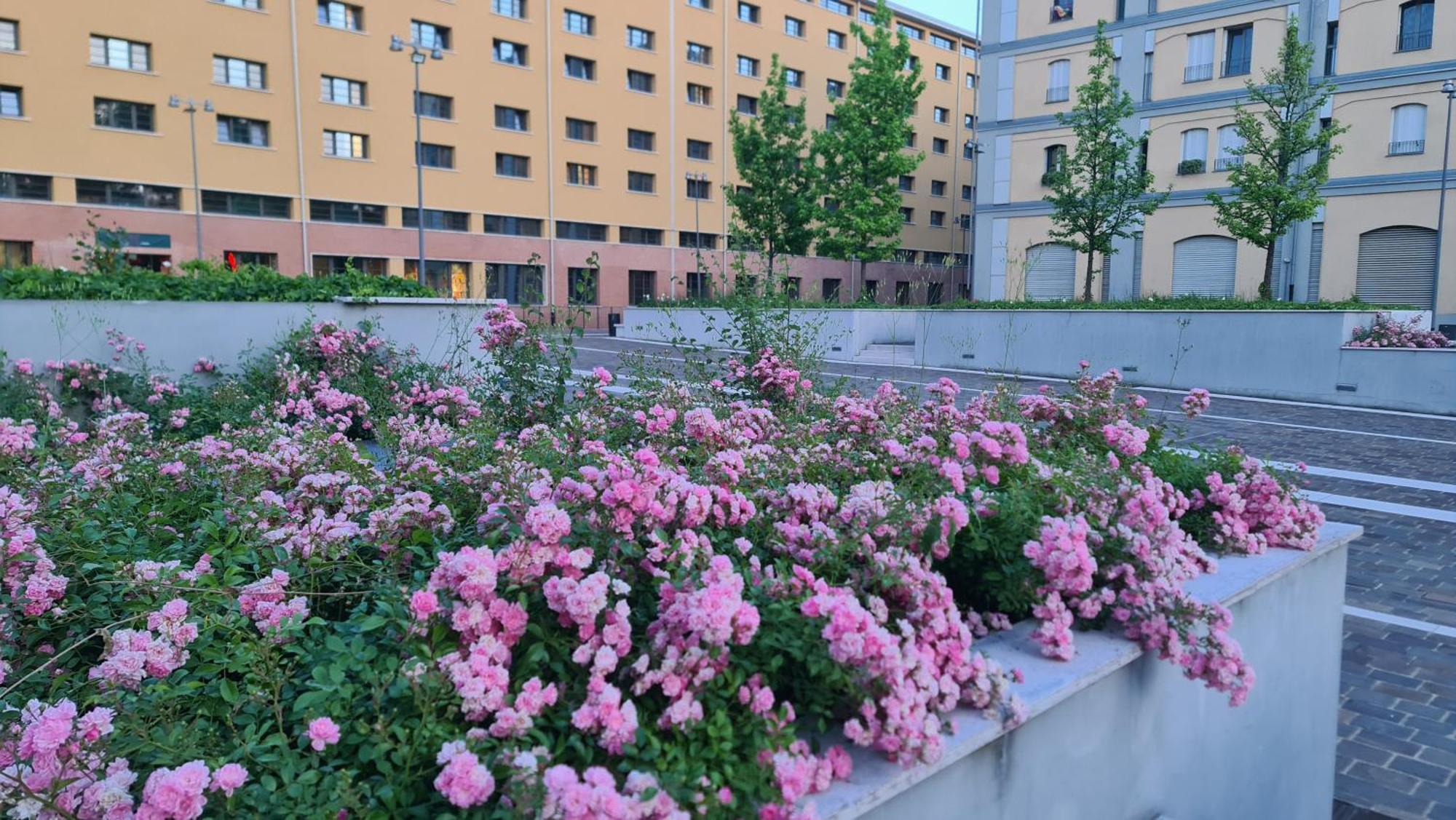 Milan Space Loft - Apartment Close To M5 Subway - Free Parking - Sky & Netflix Tv Exterior foto